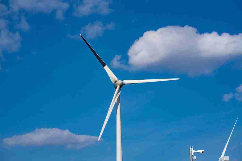 Black-painted wind turbine blades help prevent bird mortality