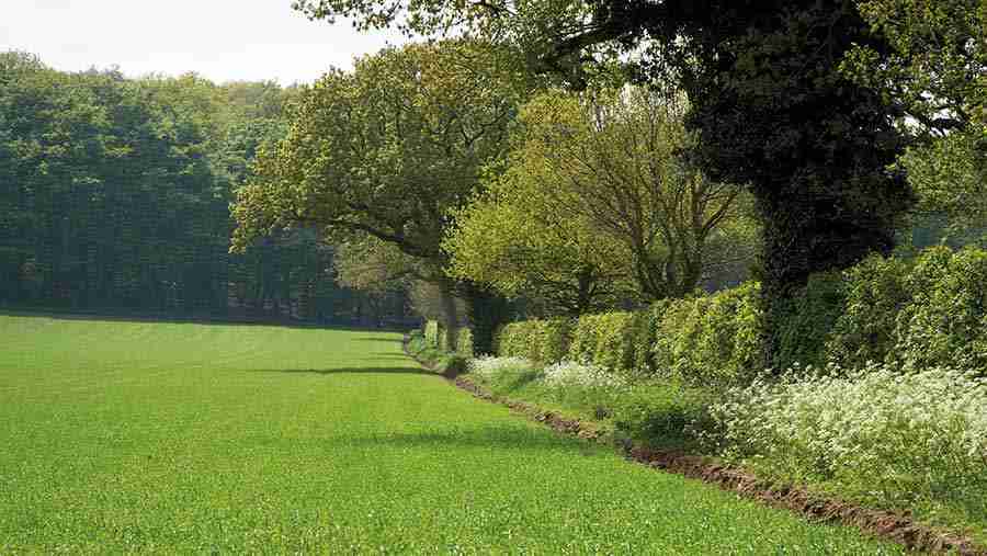 6 soil carbon schemes for farmers to consider