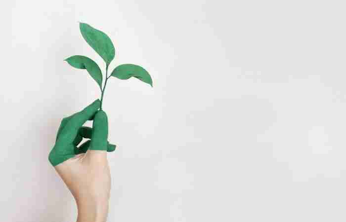 What is needed now for ESG investing?