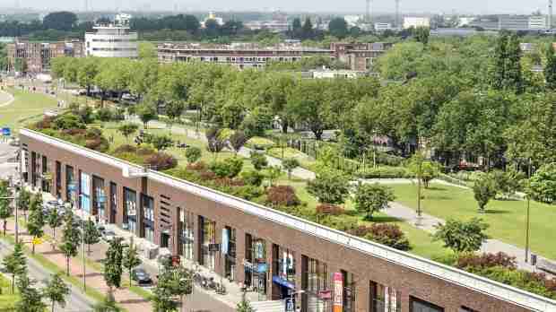 Green cities: 10 major cities embracing green space, sustainability and renewable energy