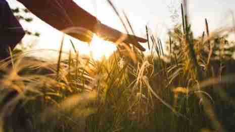 Hugo Boss amps up commitment to regenerative farming 4 Hugo Boss amps up commitment to regenerative farming