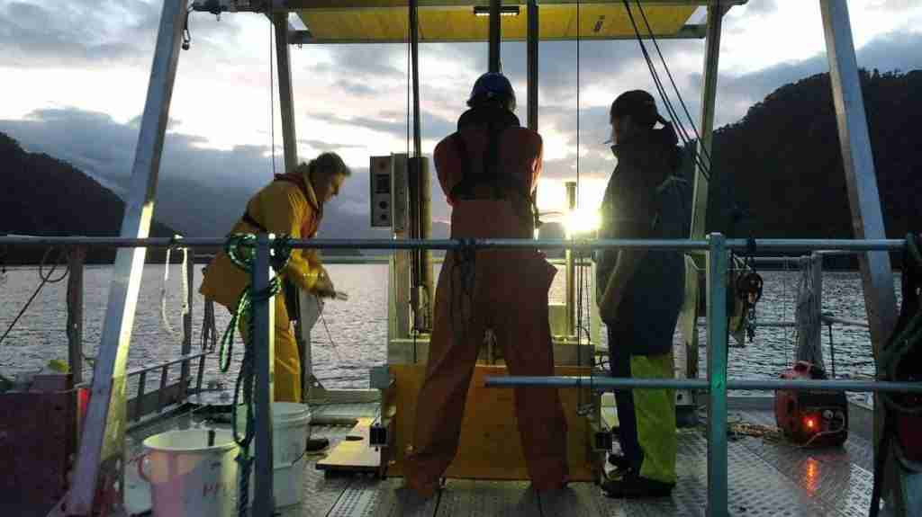 Will climate change impact on Fiordland's carbon sink