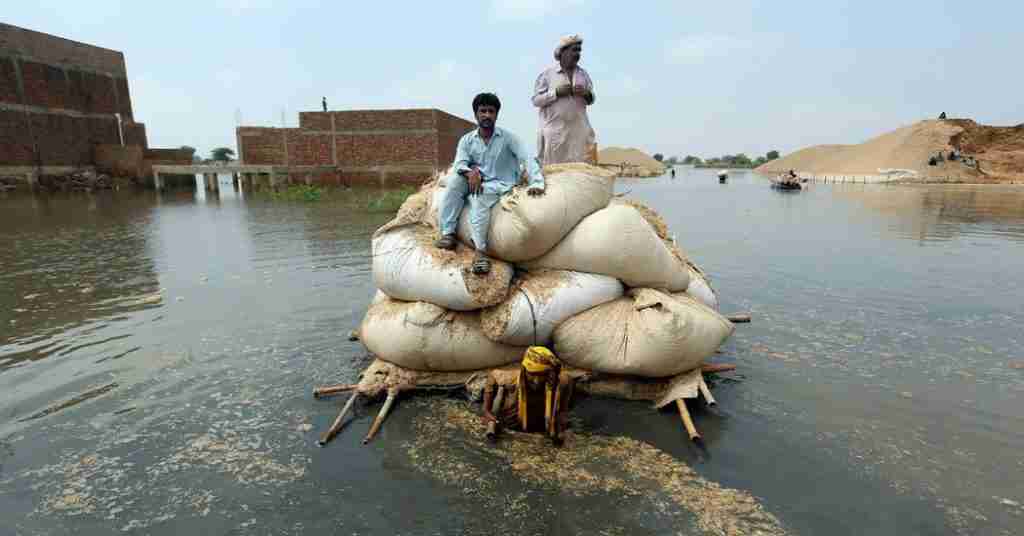 This Year Was the Beginning of a Green Transition