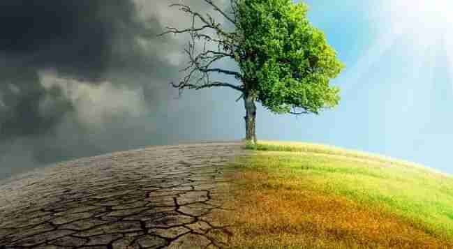 Climate change has impacted Assam: Report