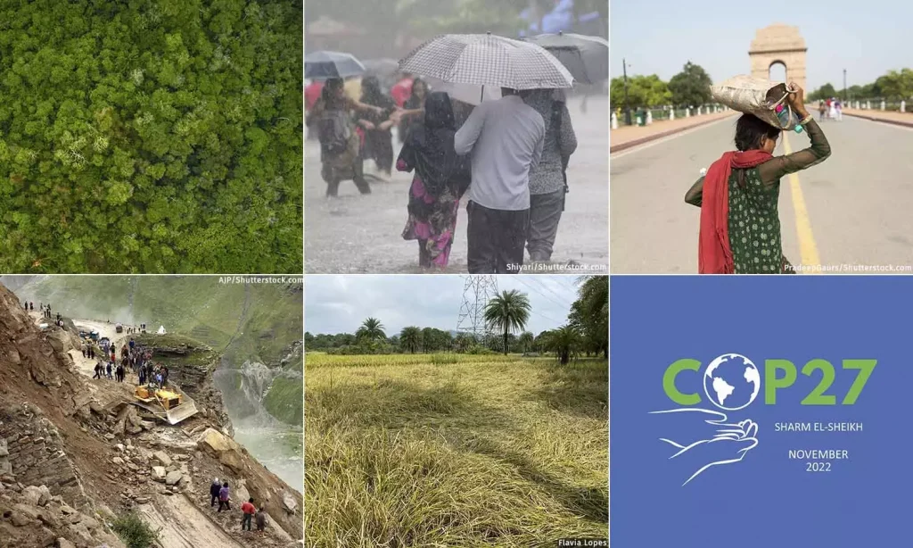 Year In Review: Green Law Dilutions In Year Of Record Extreme Events