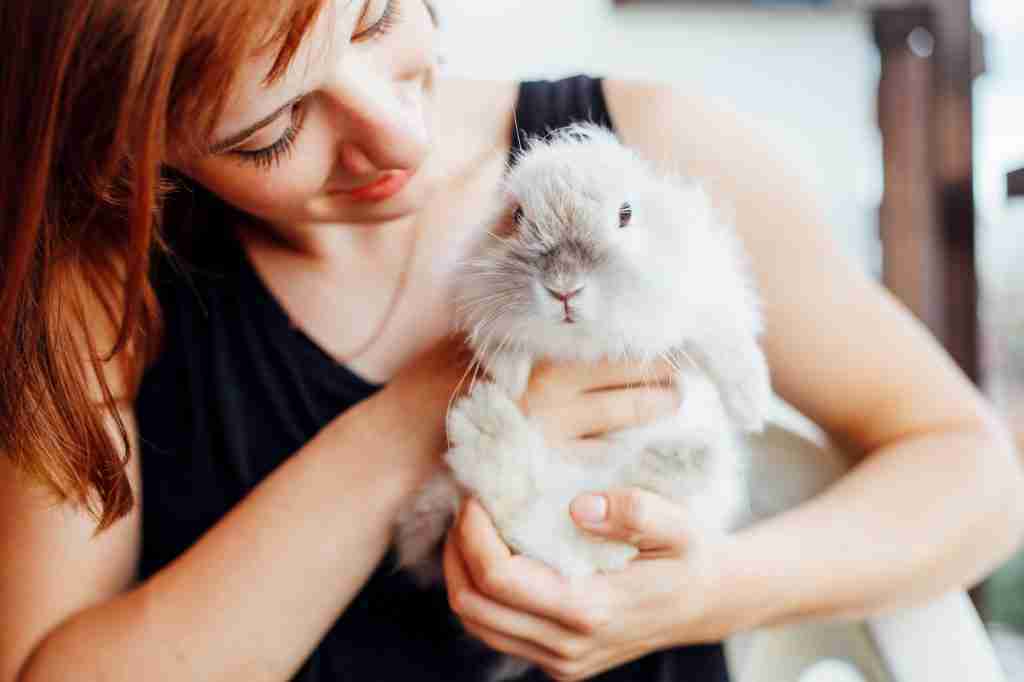 Three in Five Europeans Agree Pet-Friendly Products Are As Important As Child-Friendly