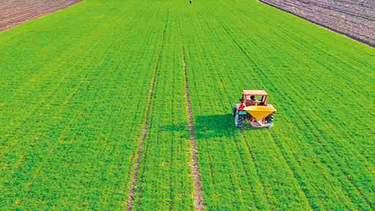 Carbon footprint: Can nature-killing agri be more sustainable?