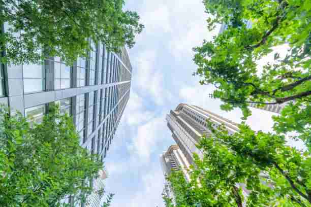 Getting real with sustainable investing