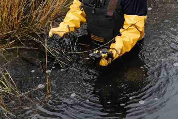 A Stinky Stew on Cape Cod: Human Waste and Warming Water
