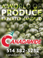 Digging into the details of ESG