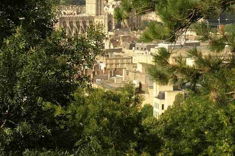 New housing developments to be net zero after council passes ‘ground-breaking’ policy