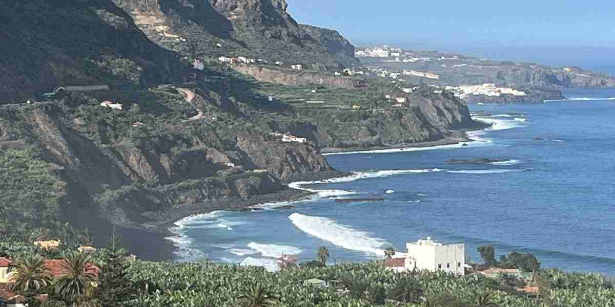 Regulators Feel Pressure To Take A Harder Stance On Greenwashing