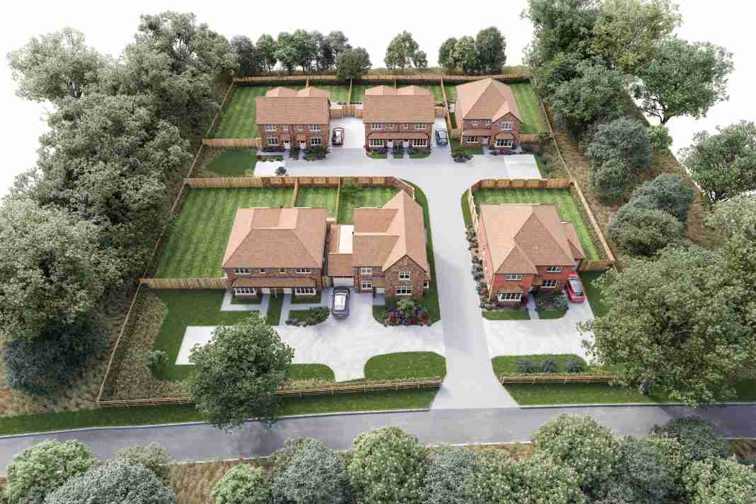 Grassland translocation preserves biodiversity at Harbour Reach development