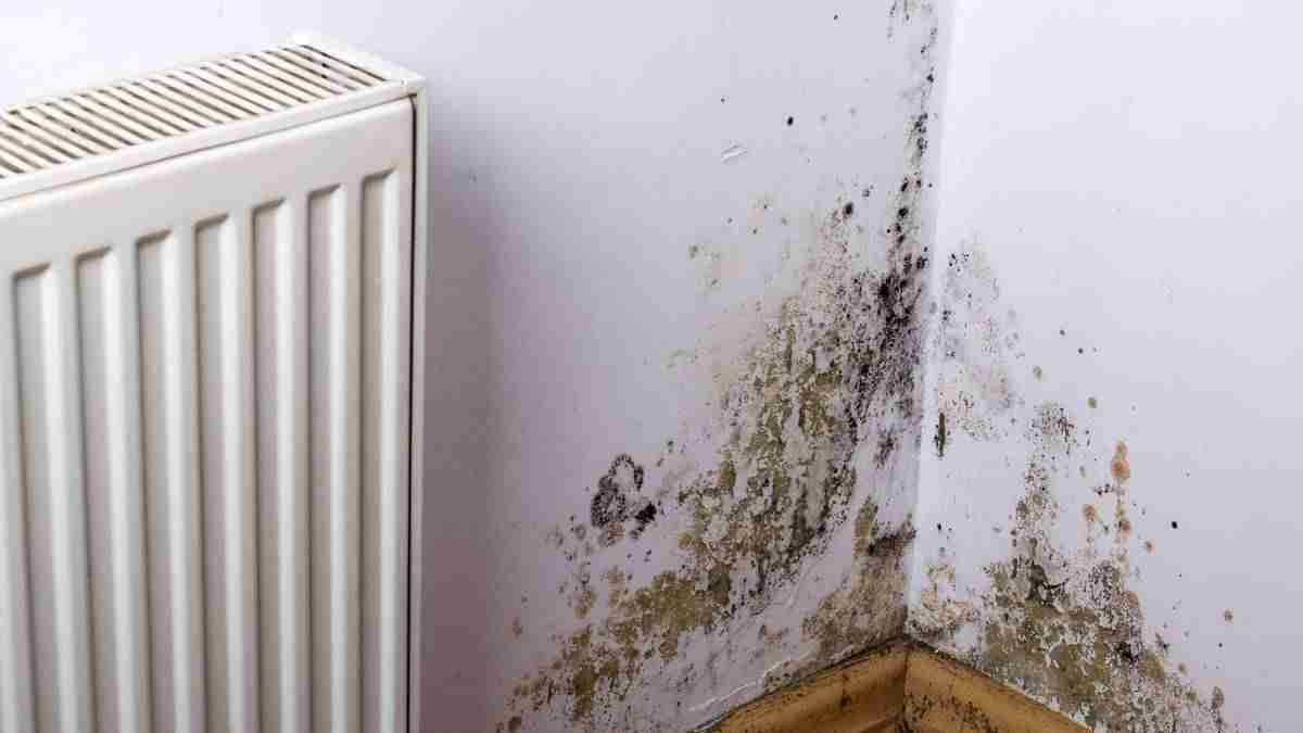 Alliance of organisations calls on all political parties to make this ‘pollution-busting’ housing election promise