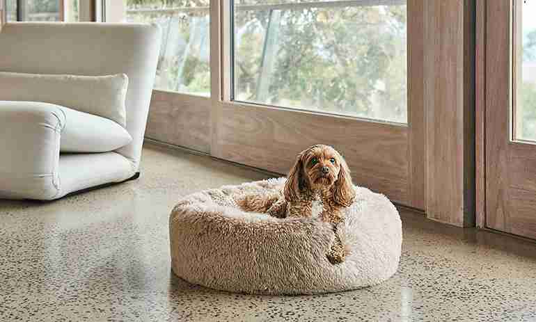 The five values driving eco-friendly pet bedding