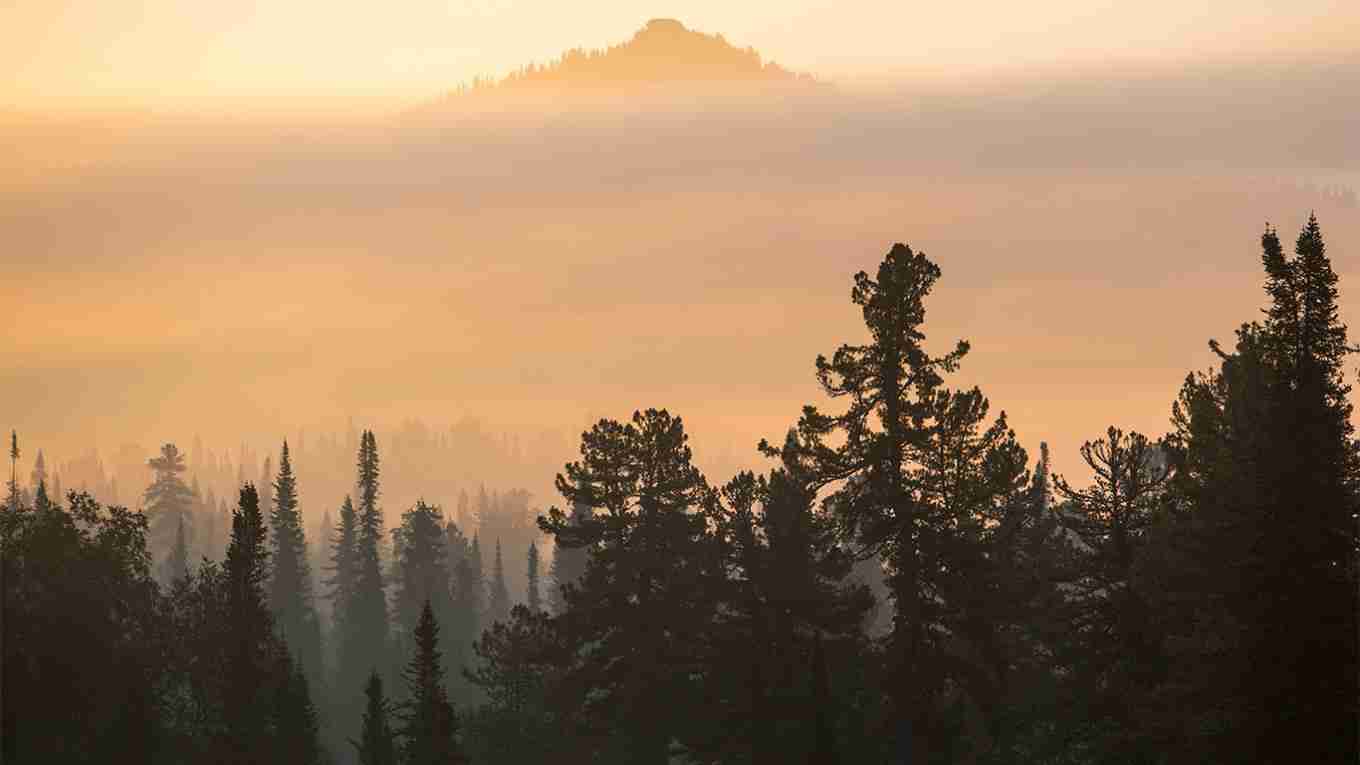 How Russia’s War Is Impacting the Global Environmental Agenda