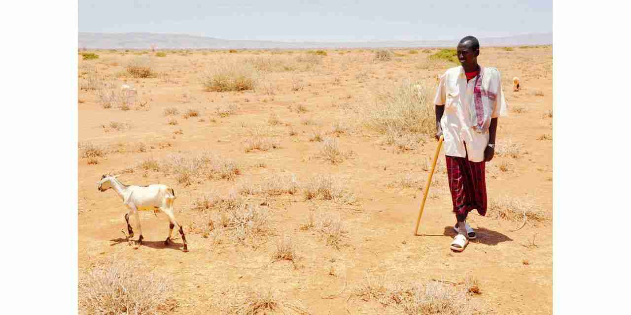 How indigenous Tanzanians cope with climate change