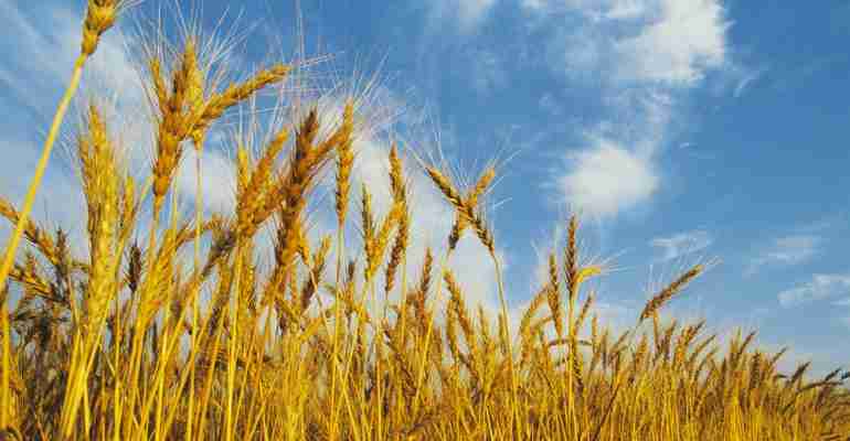 The Hunt for Alpha in ESG Bond Funds