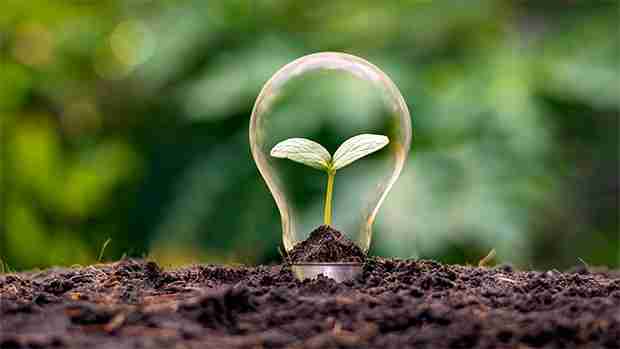 Sustainability at service stations: What can fuel retailers do to contribute to global sustainability?