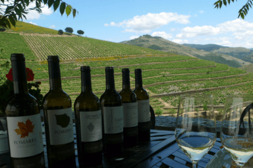 Climate change sees old vine types revived