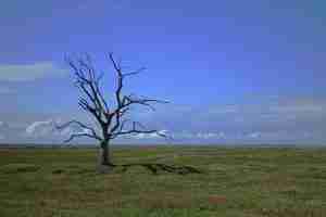 Why it is so difficult to tackle climate change