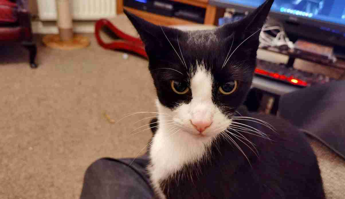 Opinion: Is net zero just a load of hot air?