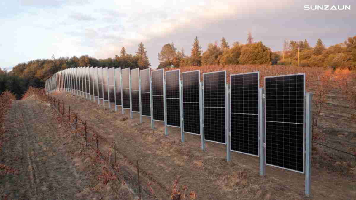 These new vertical solar systems are specially designed for farms