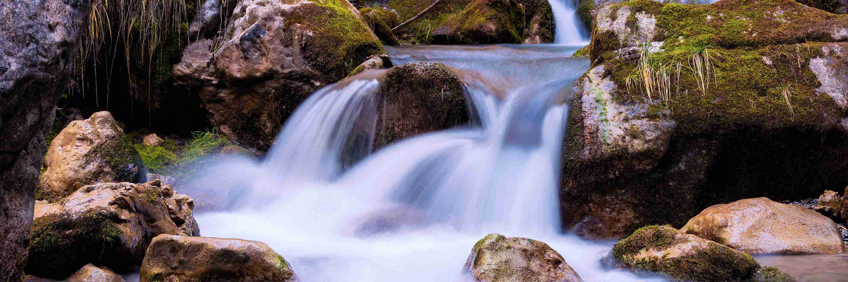 ESG ratings: Don’t throw the baby out with the bath water