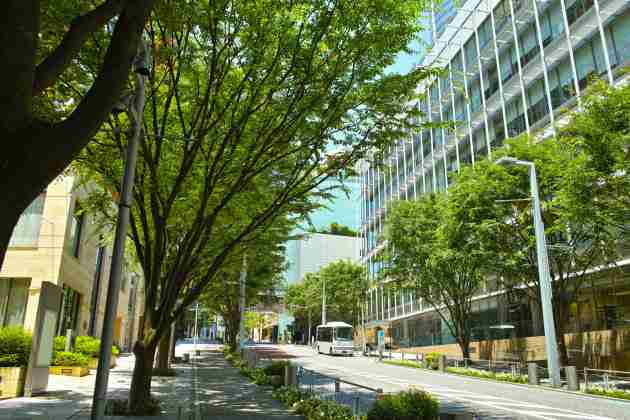 Pathway to net zero by 2040