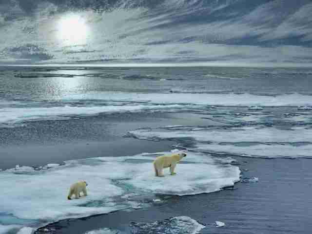 Zombie virus: What is it and how climate change can trigger its spread