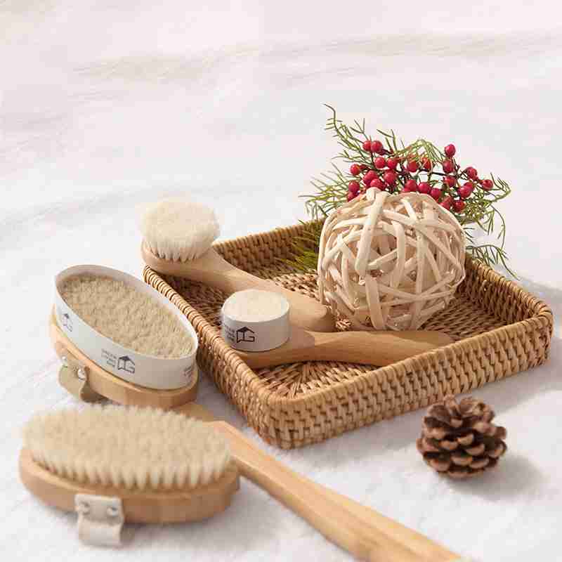 Greenliving Launches as the Ultimate Destination for Zero Waste and Sustainable Living