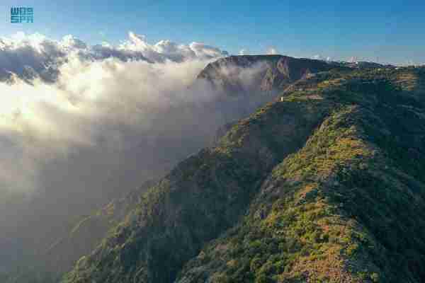 Saudi Arabia is first globally in renewable energy growth within 2 years of SGI launch