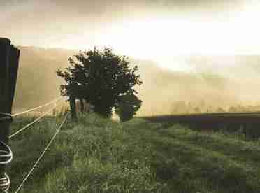 Supermarkets sign up to ‘unprecedented’ collaboration on climate change