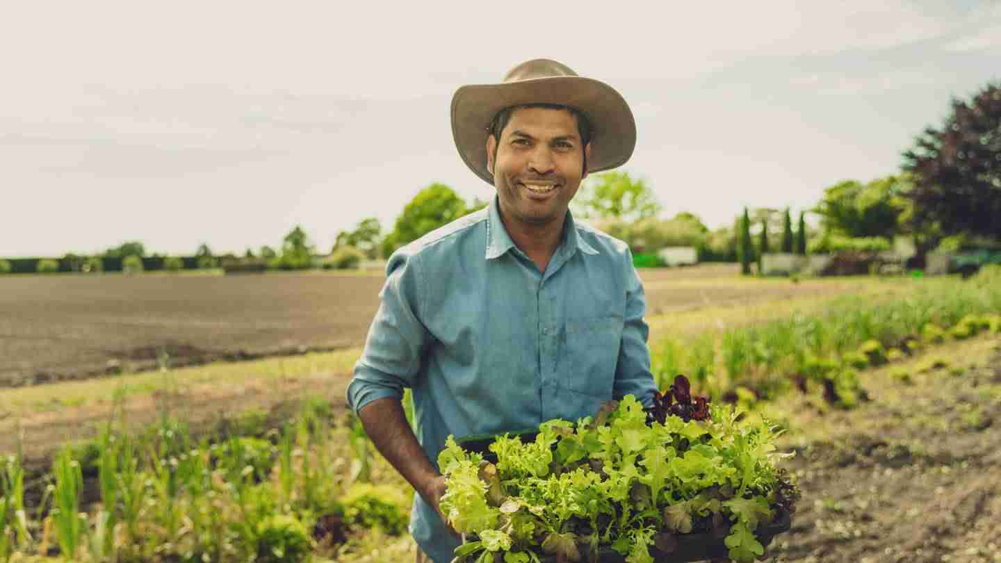 8 of the best eco-friendly food and drink experiences in New Zealand