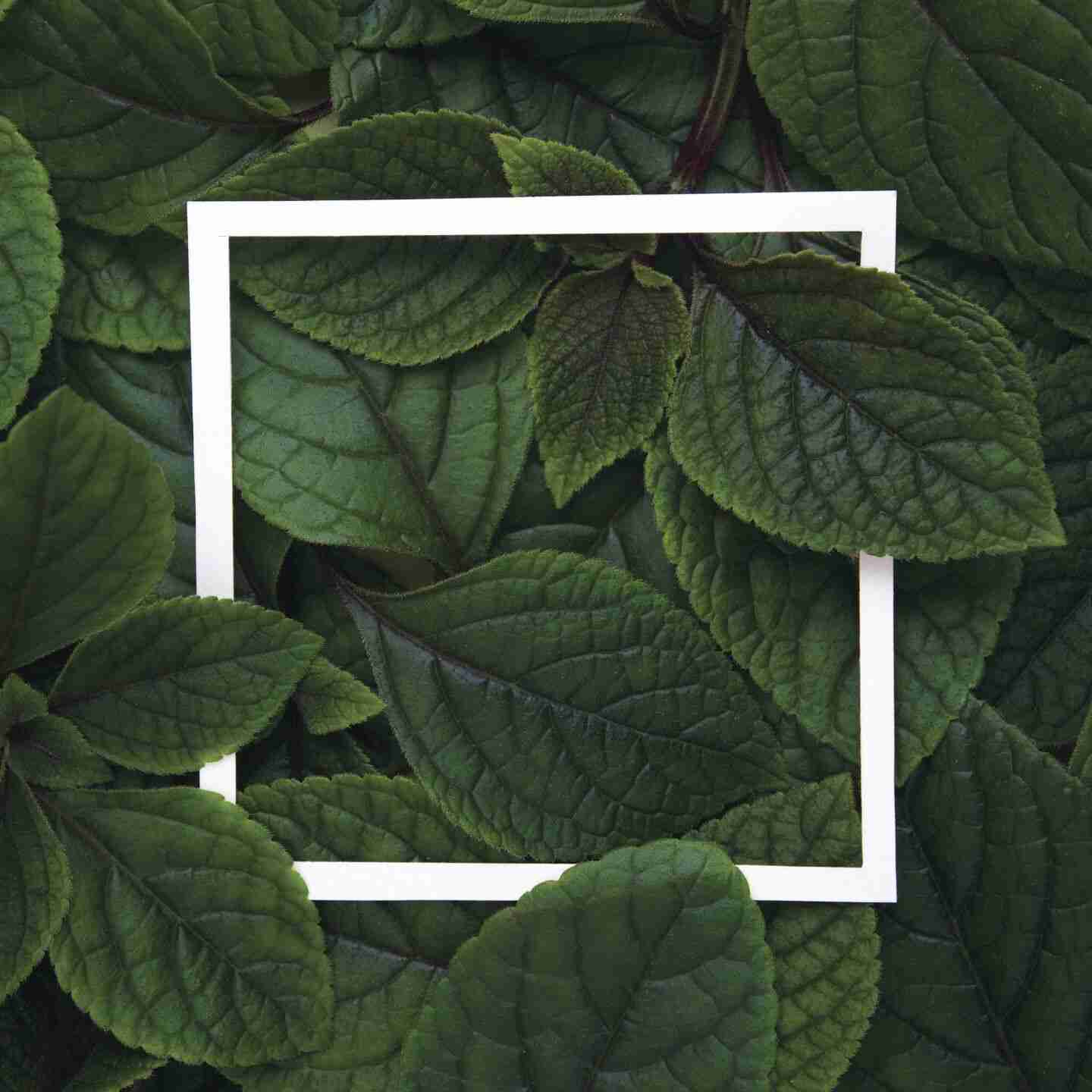 Go green: tips and tricks for building a more sustainable home