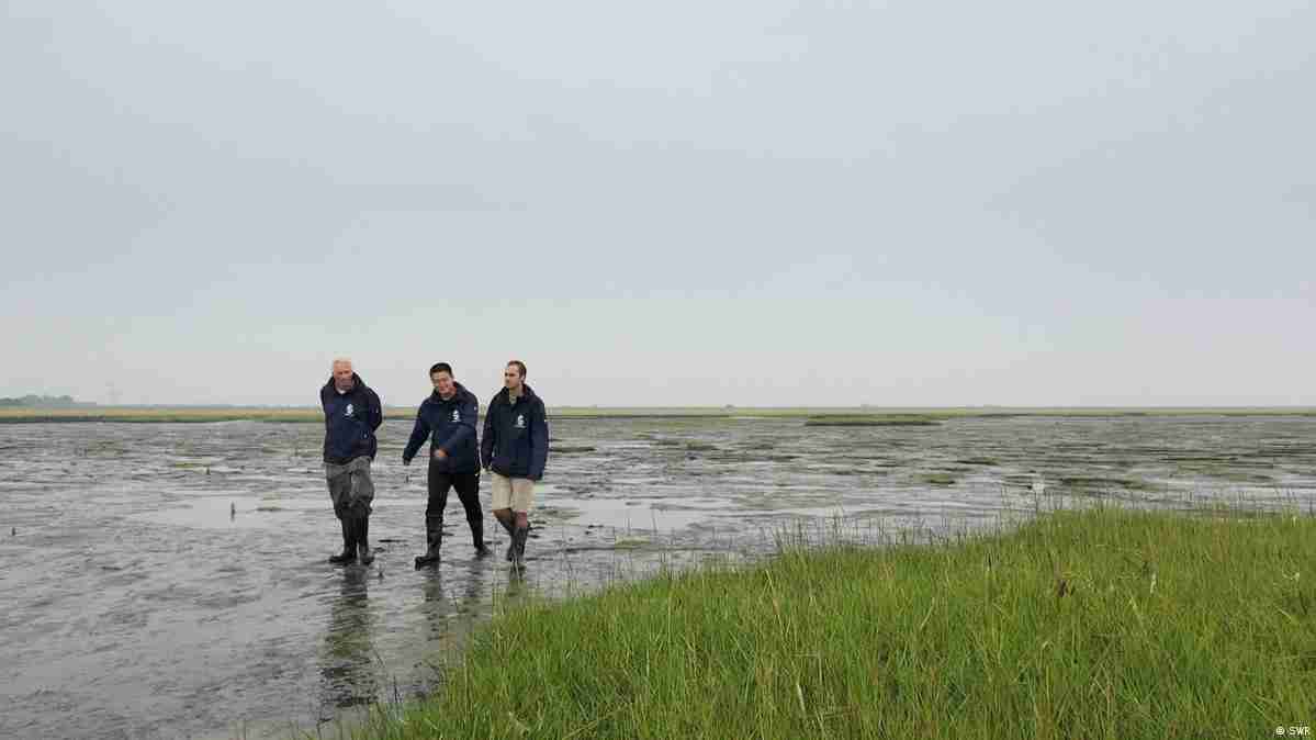 Rising tides - Climate change and coastal protection