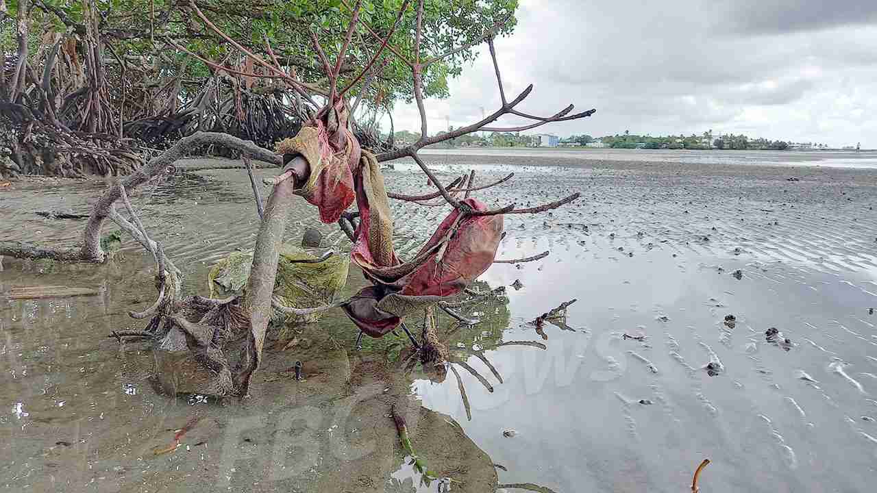 European Investment Bank prioritizes climate change