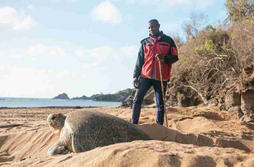 Small island states fight back against nature loss, climate change