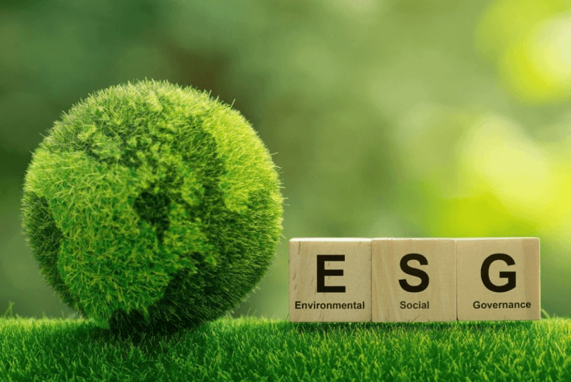 Viewpoint: How Environmental—Social—Governance (ESG) screens can be manipulated to promote misleading science and damage sustainability efforts