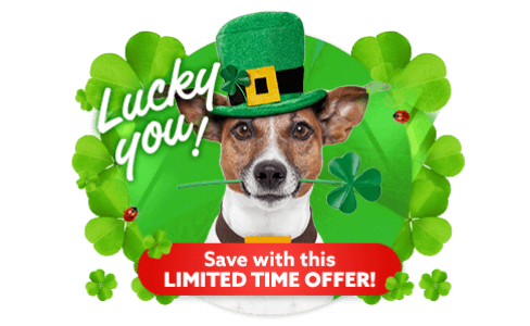 Why are we still not using hemp when it’s so much more environmentally friendly than plastic?