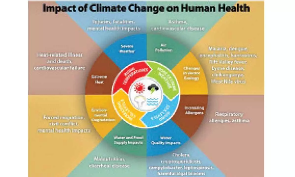 Climate Change Effects: Covid raises risk of global outbreaks