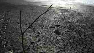 Is having kids making climate change worse?