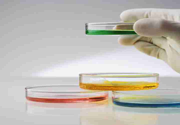 Sharma: A rapidly spreading deadly fungus is a warning about climate change