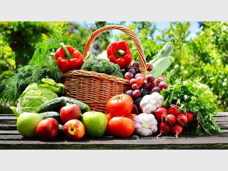 Sustainable food trends for 2023