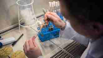 A Fungal Infection Is Spreading Thanks to Climate Change, and Experts Are Concerned