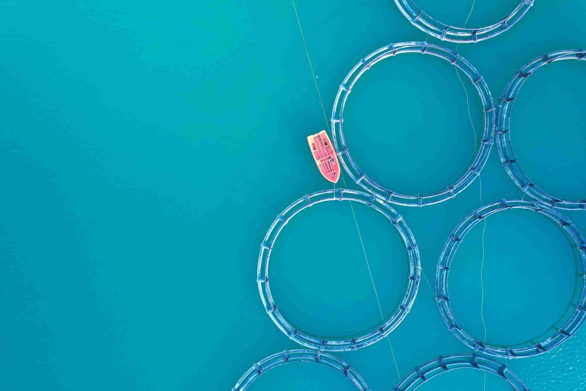 Climate change poses risks to aquaculture, threatening food security