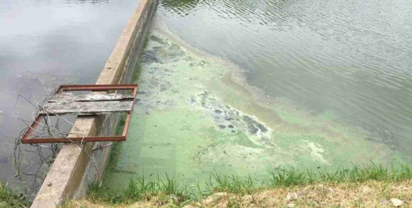 Balancing Housing with Protecting Water Resources Requires Smart Approach