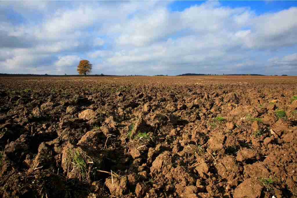 The Role of Soil Organic Carbon in Fighting Climate Change
