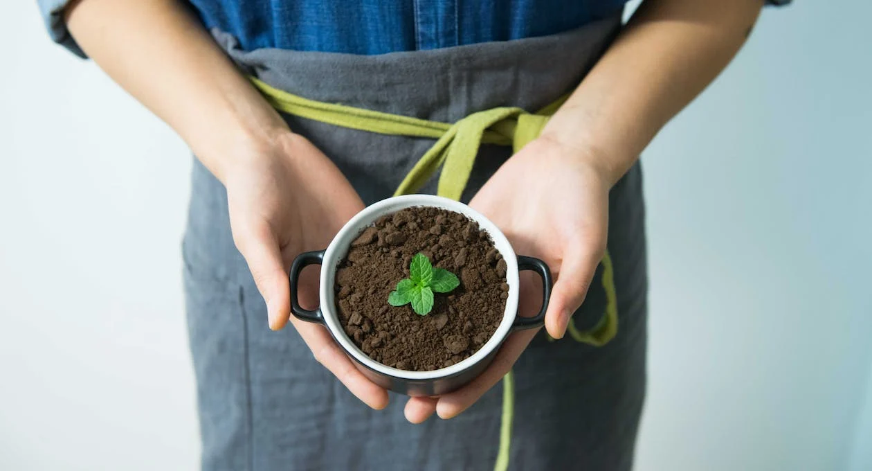Embracing Sustainability and Eco-Friendly Practices in Small Businesses