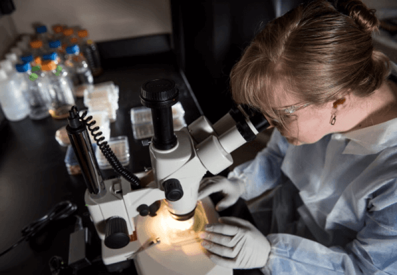 Here’s how synthetic biology can support eco-friendly agriculture